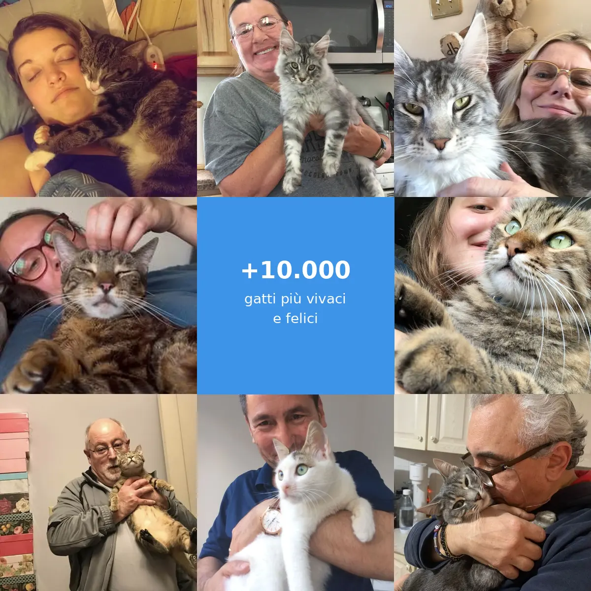+10.000 gatti più vivaci